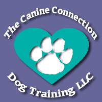Canine Connection Dog Training, LLC - Milford, CT