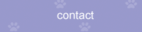 Contact Canine Connection Dog Training