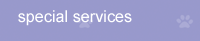 Dog Training Special Services