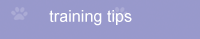 Dog Training Free Tips